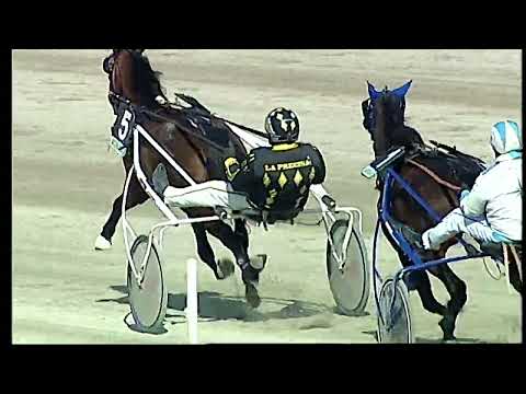 Napoli Trotto 04/03/2022 - 1ª corsa