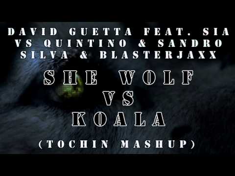 David Guetta feat. Sia VS Quintino & Sandro Silva & Blasterjaxx - She wolf vs Koala (Tochin mashup)