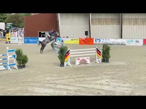 Dawao L 2: DIBADU L x CORNET OBOLENSKY