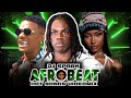2025 TOP AFROPARTY VIDEO MIX 2025 AMAPIANO MIX BEST NAIJA AFROBEAT MIX DAVIDO REMA FOLA KELEBU