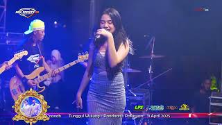 Download lagu NEW ARDISTA 28 || HUKUM RIMBA || ALMEERA SABRINA || IDOLA MUSIC mp3