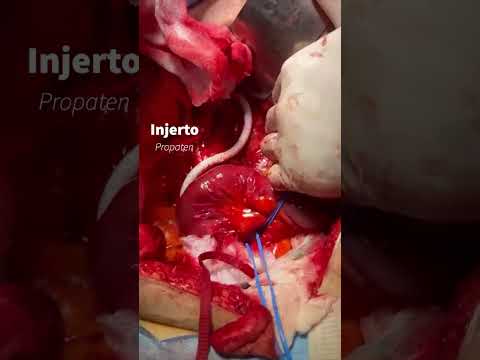Carlos Daniel Gómez Calvo-15