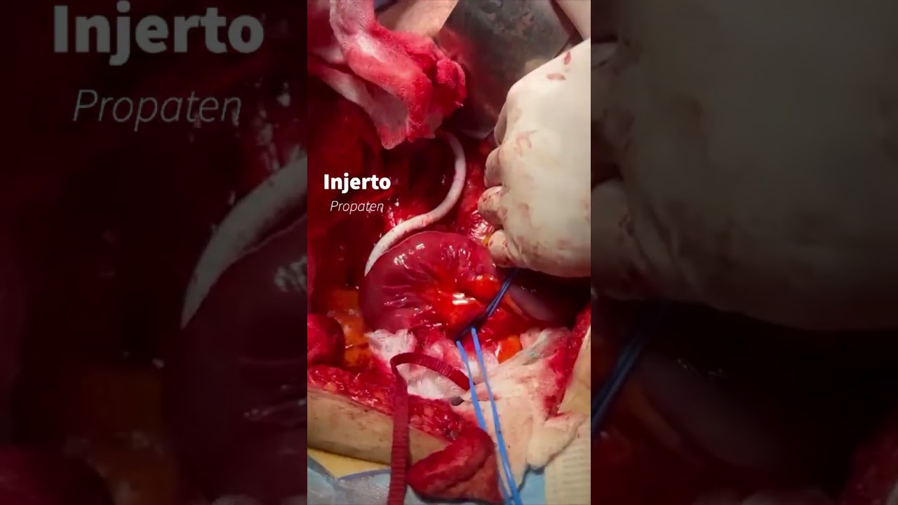 Carlos Daniel Gómez Calvo-15