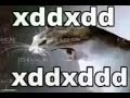 Cat Laughing Meme
