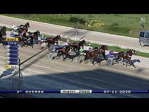 Aversa trotto 7 Novembre 2020 - 2° Corsa