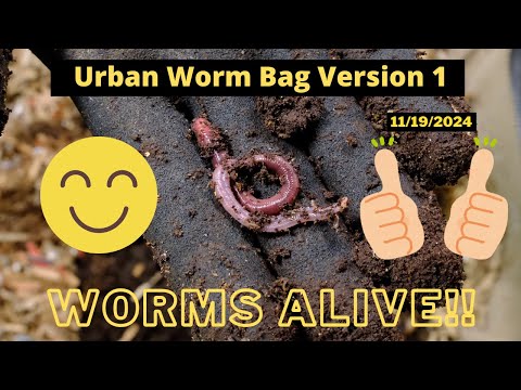 Urban Worm Bag  - ANC Worms Alive 11/19/2024