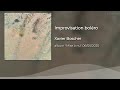 Xavier Boscher - improvisation boléro