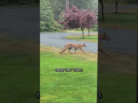 Never Let Your Kids Play Outside Alone 😨 #shorts