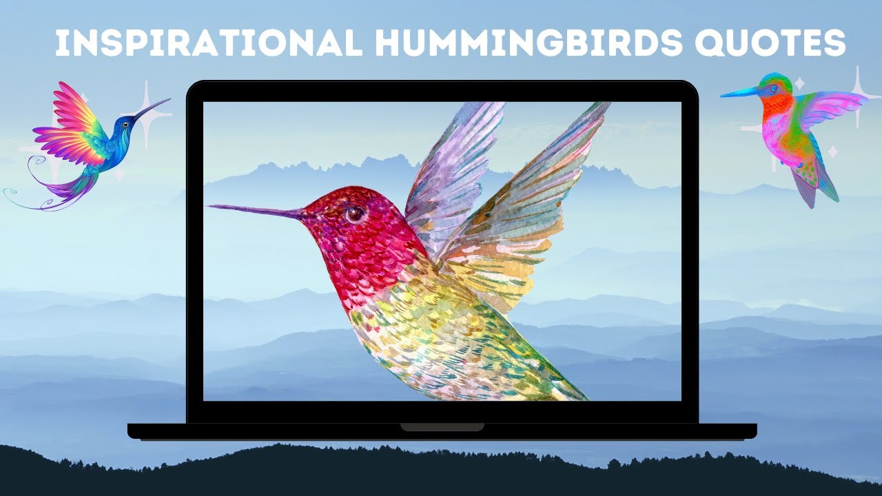 Hummingbird Quotes to Inspire Joy and Happiness
