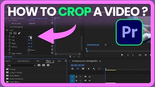 How to CROP videos in Premiere Pro (2024)
