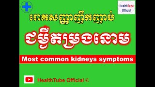រោគសញ្ញាញឹកញាប់ ជម្ងឺតម្រងនោម l Most common kidneys symptoms lរោគសញ្ញាតម្រងនោមl@healthtubeofficial