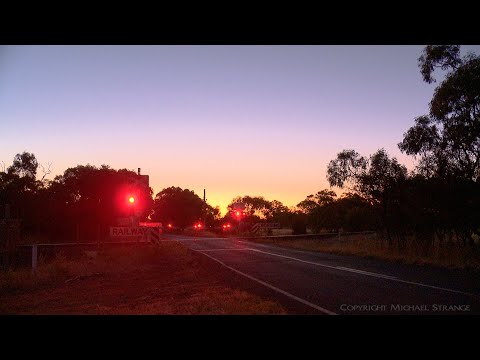 7737V Pacific National Grain Train At Railway Level Crossing (29/12/2021) - PoathTV