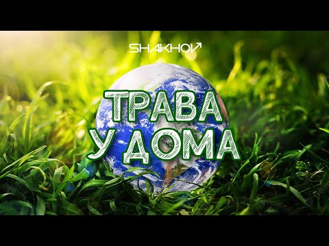 SHAKHOV - Трава у дома [Official Mood Video]