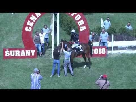 MALINKA MOJA (GB) - Šurany 06.05.2018