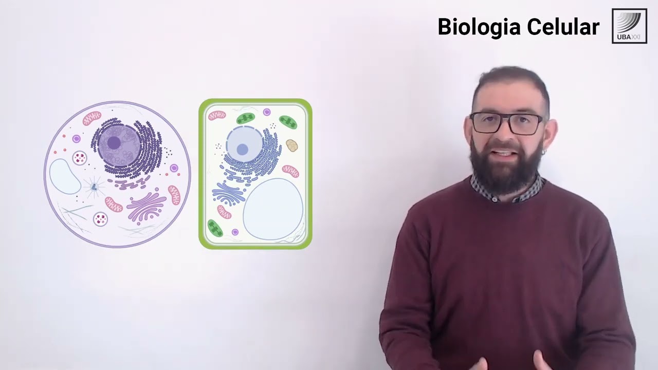 13. Biología celular: Características de las células eucariotas