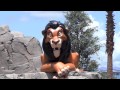 Lion King Wing At Disney S Art Of Animation Resort Plus Little Mermaid Peek