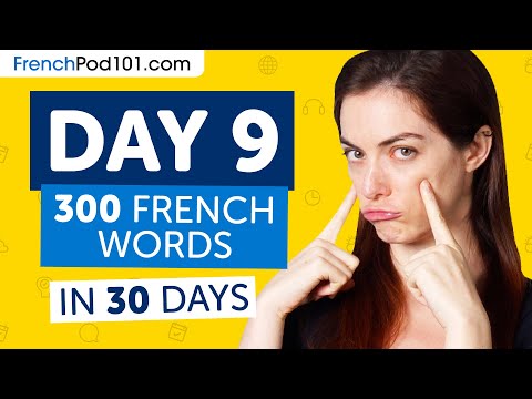 Day 9: 90/300 | Learn 300 French Words in 30 Days Challenge