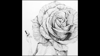 For the Love of a Rose - Tomassetti // (Official Audio)