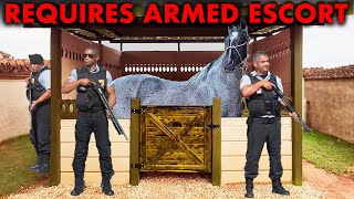 How Does The Most Expensive Horse In The United States, Valued At $70000, Lives?