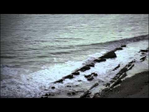 The Mentalist: Flower