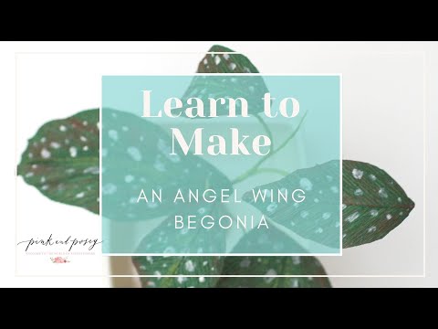 LEARN HOW TO MAKE AN ANGEL WING BEGONIA WITH CREPE PAPER with Pink and Posey