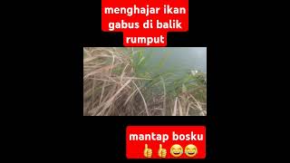 Download lagu Bersembunyi di balik rumput yg tingi akhirya ikan gabusnya naik juga #fishing#mancing#ketapel#ikan mp3 Download lagu Bersembunyi di balik rumput yg tingi akhirya ikan gabusnya naik juga #fishing#mancing#ketapel#ikan mp3