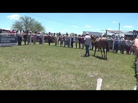 Antes de salir a la cancha