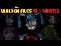 THE FULL WALTEN FILES STORY EXPLAINED IN LESS THAN 5 MINS