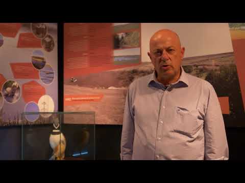 Alberto Lavandeira - CEO de Atalaya Mining