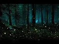2 Hour Night Ambient Sounds - Crickets and Fireflies - Sleep and Relaxation Meditation Sounds
