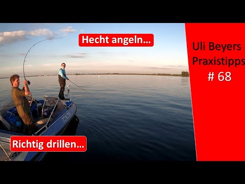 Hecht drillen: Hier passieren Fehler beim Hechtangeln