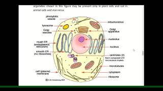SELF INSTRUCTIONAL MODULE EXAMPLE