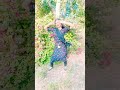 Meri Bindiya Uda Ke