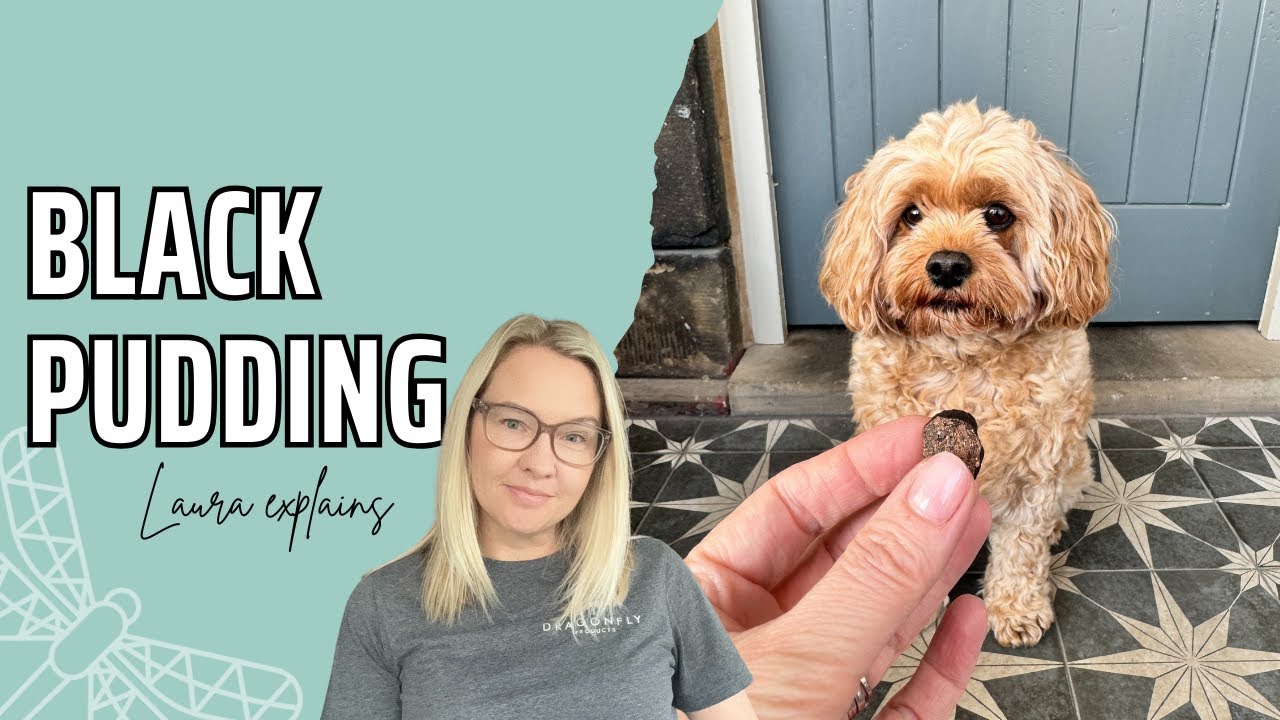 What is Black Pudding for Dogs? | Video
