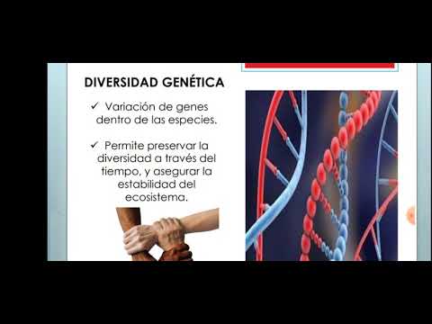 Niveles de Biodiversidad