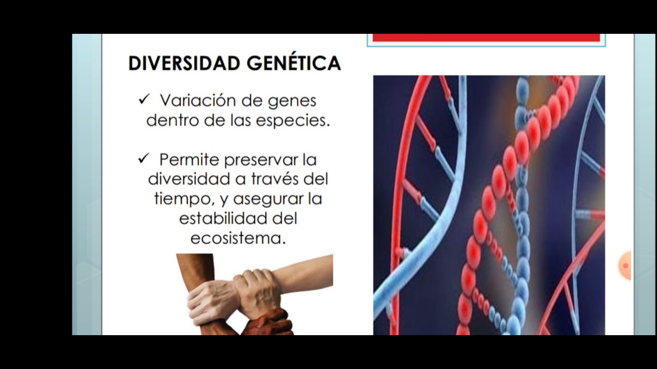 Niveles de Biodiversidad