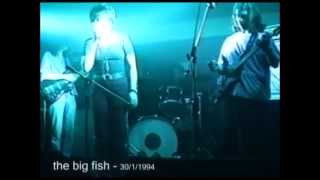 Old Mr. Heffer | 4 Non Blondes | Cover version by The Big Fish Band