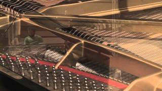 Matthew Bourne - The Mystic