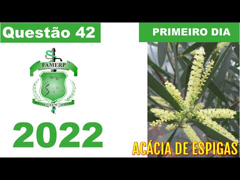 (Famerp 2022) A acácia de espigas, uma das plantas invasoras que