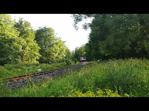 810 jako Regio w Czechach + RP1 i miganie świateł