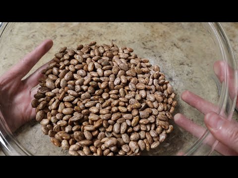 How to Cook Dried Beans and Save Money