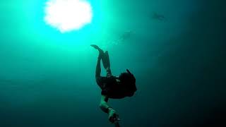 preview picture of video 'Freediving 'Taman Laut Olele' Gorontalo'