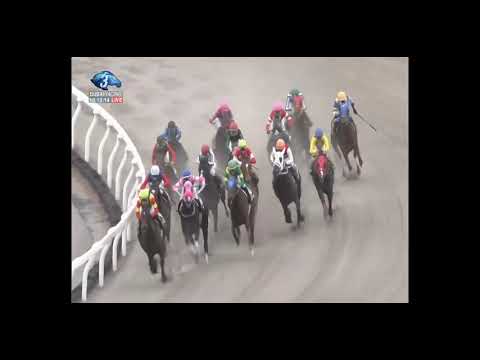 2019.04.28 Tango Stakes (JPN) - Vanilla Ice