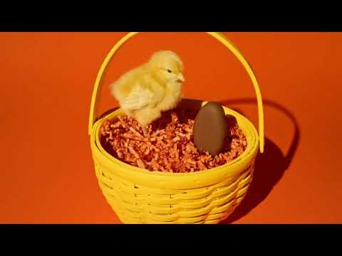 Reese's Commercial 2021 - (USA)