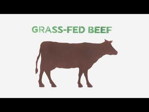 What's in an Applegate Hot Dog?