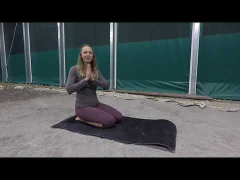 Yoga on a horse - camel und spinal twist