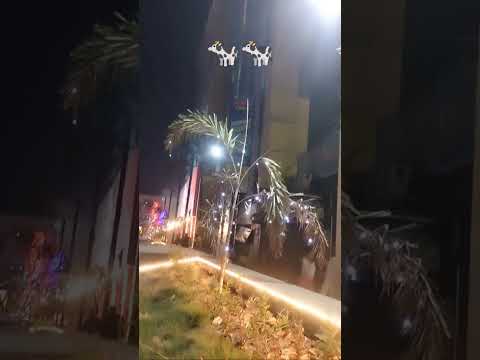 #cow#kids song #shorts #animal rhymes#viral #subscribe  🙏🙏