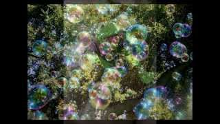 Jeszcze w zielone gramy