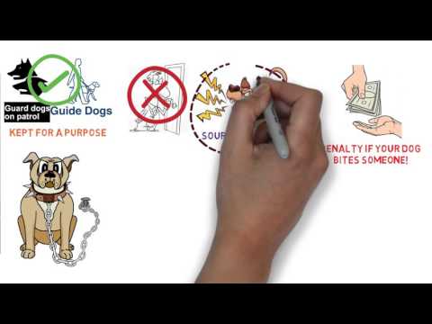 Is it forbidden to keep dogs?