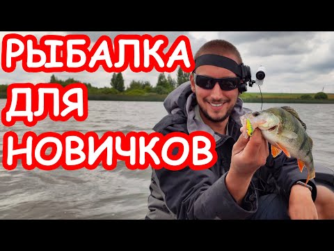 Шортан мен алабұғаға спиннинг: негіздері